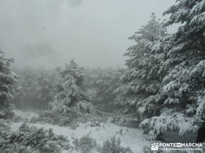 Valle de Iruelas - Pozo de nieve - Cerro de la Encinilla;senderismo aragon senderismo navarra